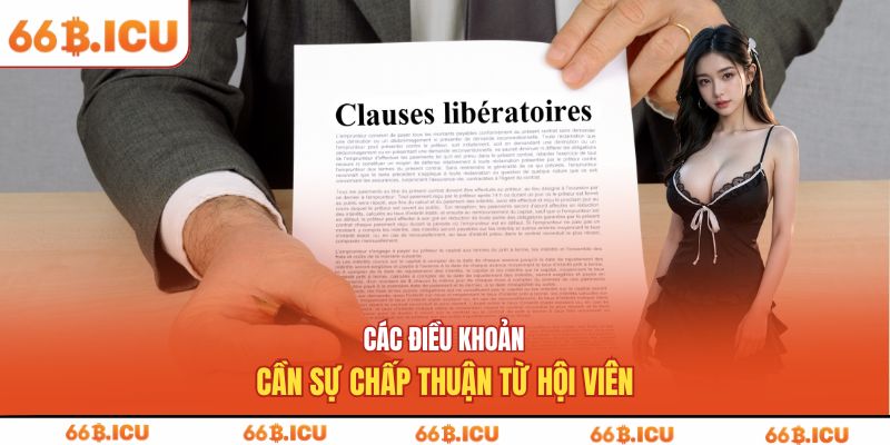 Các điều khoản cần sự chấp thuận từ hội viên