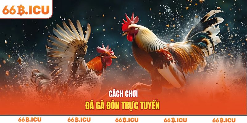 Cách chơi đá gà đòn trực tuyến