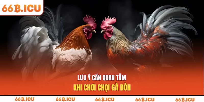 Lưu ý cần quan tâm khi chơi chọi gà đòn