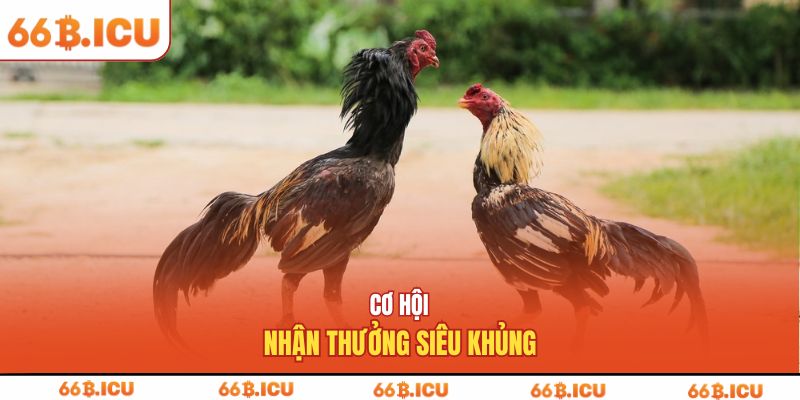 Cơ hội nhận thưởng siêu khủng