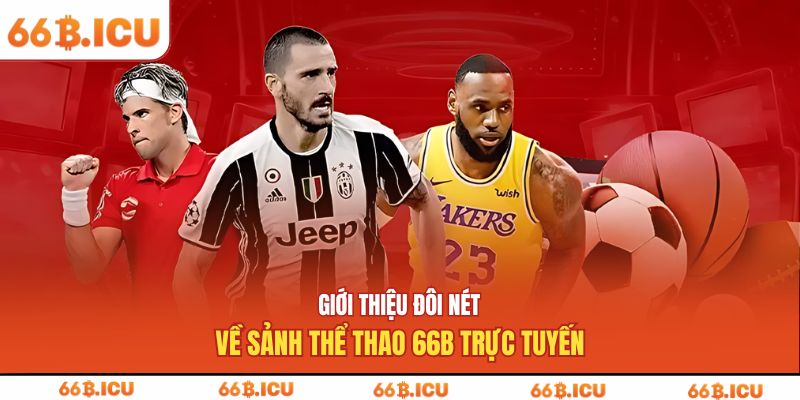 Giới thiệu đôi nét về sảnh thể thao 66b trực tuyến