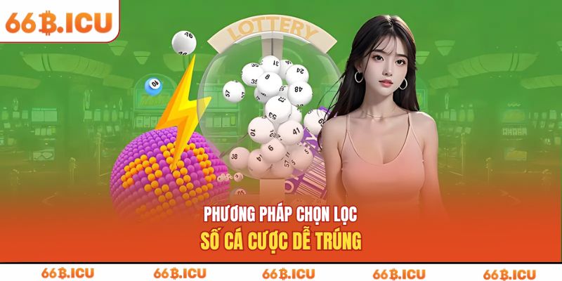 Phương pháp chọn lọc số cá cược dễ trúng