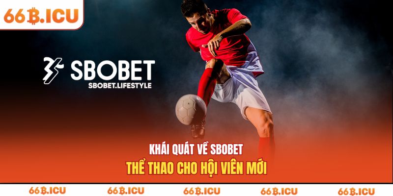 Khái quát về SBOBET thể thao cho hội viên mới