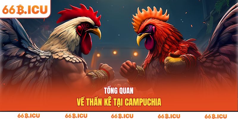 Tổng quan về thần kê tại Campuchia