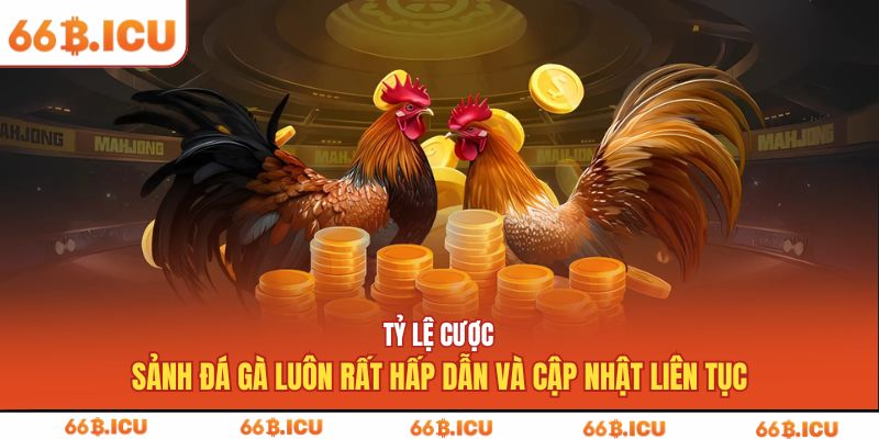 Tỷ lệ cược sảnh đá gà luôn rất hấp dẫn và cập nhật liên tục