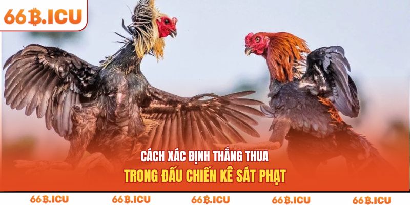 Cách xác định thắng thua trong đấu chiến kê sát phạt